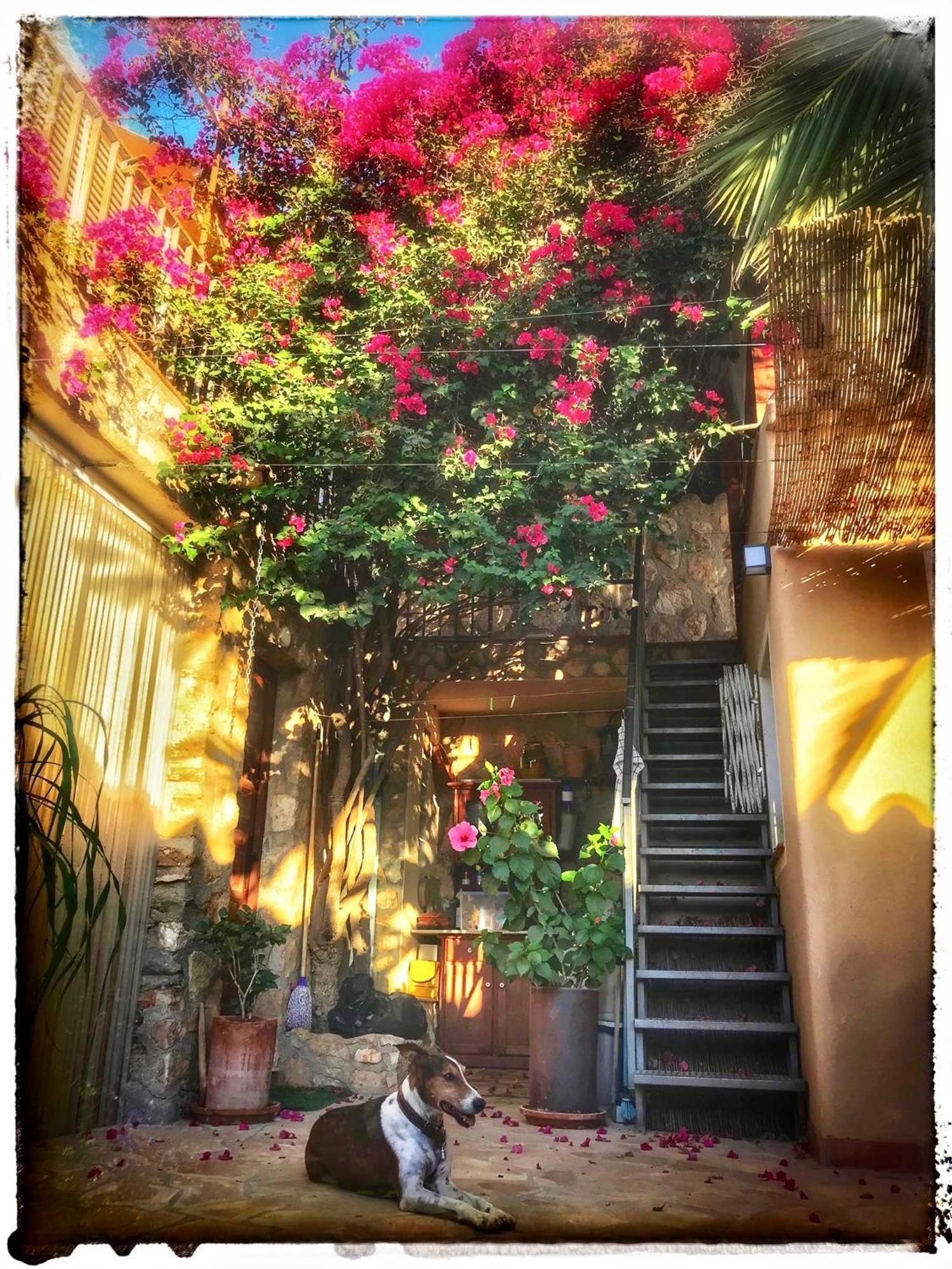 Dachterrassenzimmer In Romantischem Landhaus Mit Pool El Largo 外观 照片